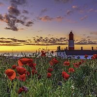 Buy canvas prints of A Majestic Sunrise at Souter Lighthouse by John Carson