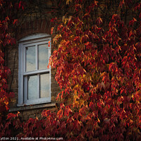 Buy canvas prints of Autumn views by Wayne Lytton