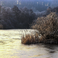 Buy canvas prints of Winter wonderland 1 by Wayne Lytton