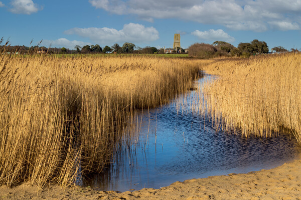 Covehithe Benacre broad suffolk Picture Board by Kevin Snelling
