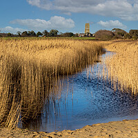 Buy canvas prints of Covehithe Benacre broad suffolk by Kevin Snelling