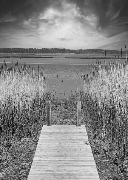 Serenity of the Wooden Jetty Picture Board by Kevin Snelling