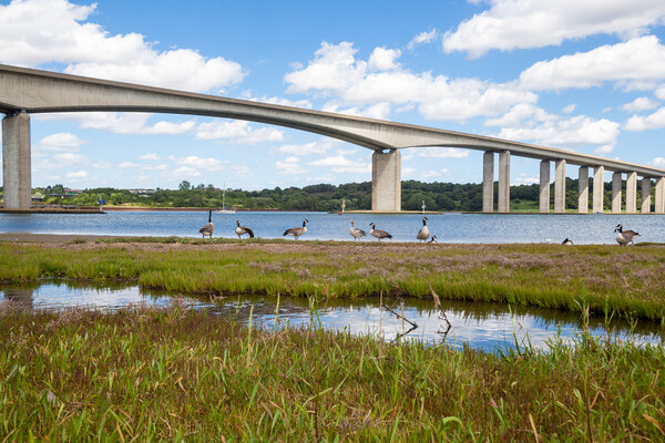 Orwell Bridge Spanning the Orwell River Picture Board by Kevin Snelling