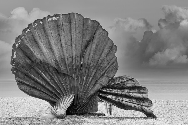 The Iconic Aldeburgh Scallop Picture Board by Kevin Snelling