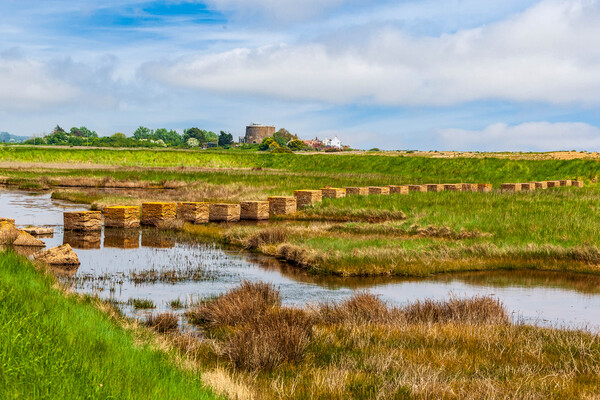 Tank traps at shingle street  Picture Board by Kevin Snelling