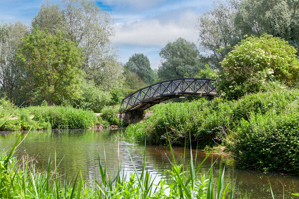 The Enchanting Mathematical Bridge Picture Board by Kevin Snelling
