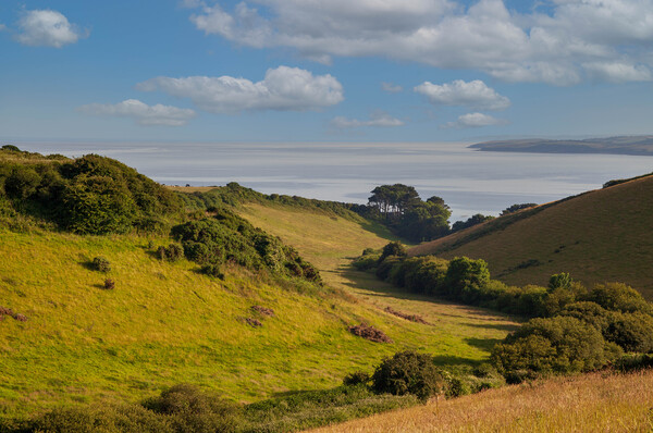 A  lush green hillside Valley to the Sea near Very Picture Board by Kevin Snelling