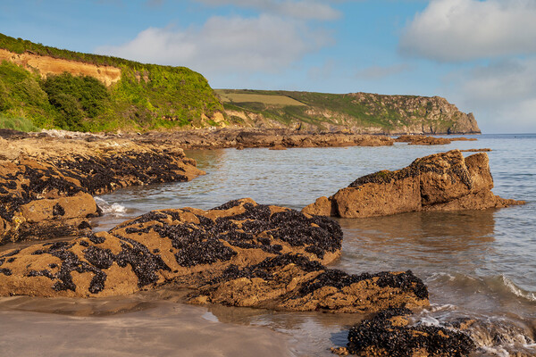 A rocky beach at pendower cornwall Picture Board by Kevin Snelling
