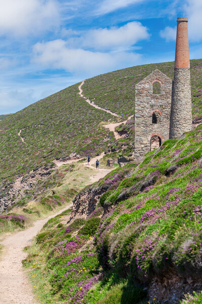 Majestic Tin Mine Ruins Picture Board by Kevin Snelling