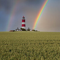 Buy canvas prints of Striped Beauty in Norfolk by Kevin Snelling
