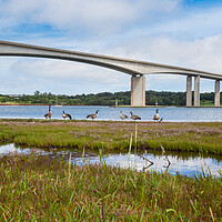 Buy canvas prints of Orwell Bridge Ipswich by Kevin Snelling