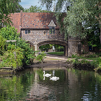 Buy canvas prints of Peaceful River Wensum by Kevin Snelling
