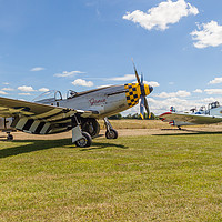 Buy canvas prints of Warbirds by Kevin Snelling
