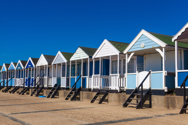 Beach huts in blue and white Picture Board by Kevin Snelling