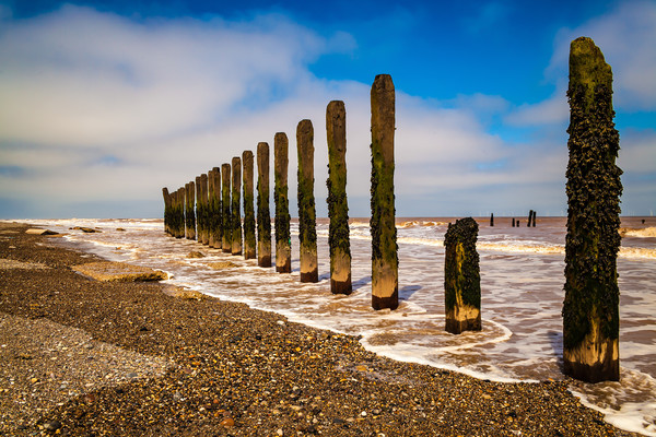 Spurn Head beach defences Picture Board by Kevin Snelling