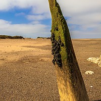 Buy canvas prints of BEACH GROYNE  by Kevin Snelling