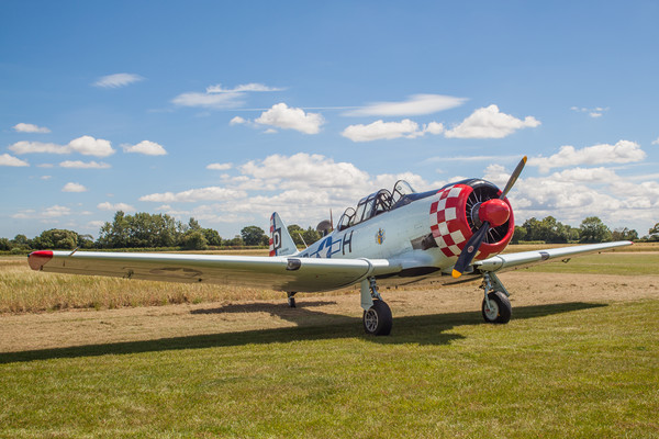 at-6D Harvard III (T6 Texan)  Picture Board by Kevin Snelling