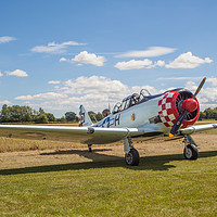 Buy canvas prints of at-6D Harvard III (T6 Texan)  by Kevin Snelling