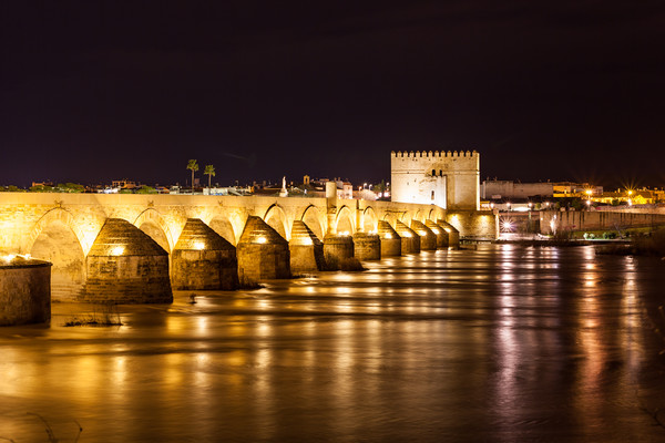 Roman Bridge Cordoba  Picture Board by Kevin Snelling