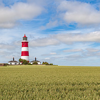 Buy canvas prints of Happisburgh lighthouse on a summers day by Kevin Snelling