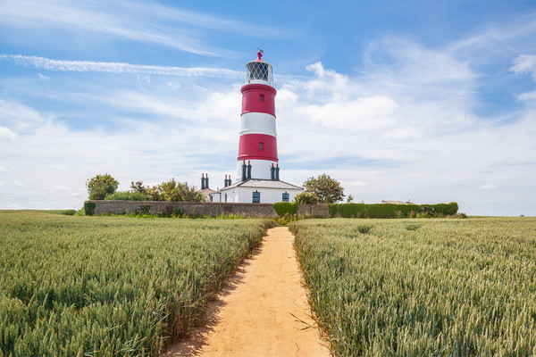 Happisburgh lighthouse on a summers day Picture Board by Kevin Snelling