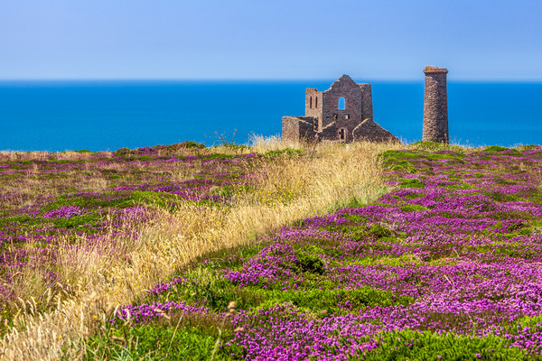 Majestic Tin Mine on Cornish Coast Picture Board by Kevin Snelling