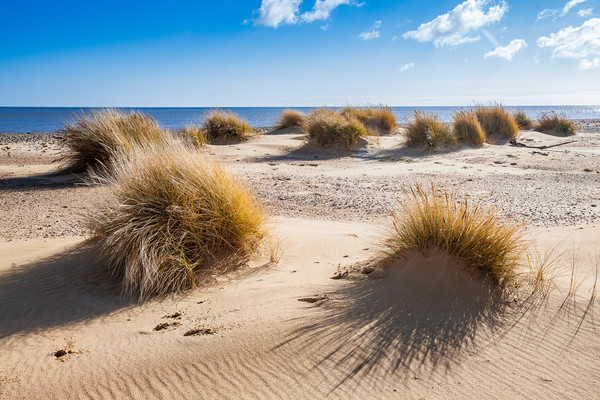 Dunes Picture Board by Kevin Snelling