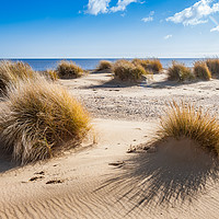 Buy canvas prints of Dunes by Kevin Snelling