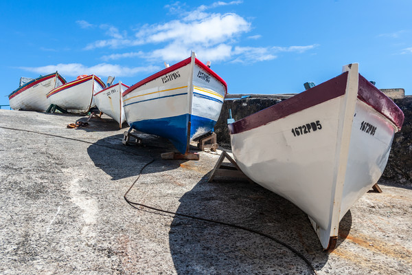 Colourful Fleet of Fishing Boats Picture Board by Kevin Snelling