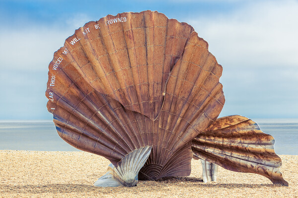 aldeburgh scallop Picture Board by Kevin Snelling