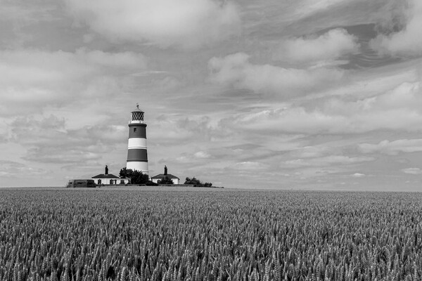 The Striking Monochrome of Happisburgh Lighthouse Picture Board by Kevin Snelling