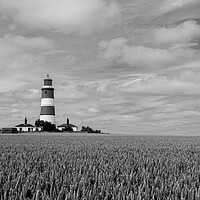 Buy canvas prints of The Striking Monochrome of Happisburgh Lighthouse by Kevin Snelling