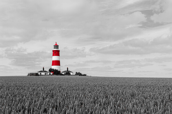 Moody Monochrome Lighthouse Picture Board by Kevin Snelling