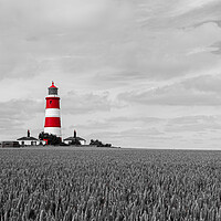 Buy canvas prints of Moody Monochrome Lighthouse by Kevin Snelling