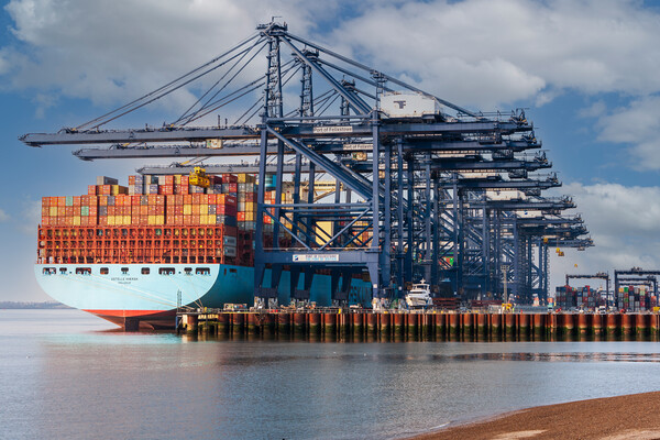 Majestic vessel docks in Felixstowe Picture Board by Kevin Snelling