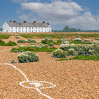 Buy canvas prints of shingle street shells by Kevin Snelling