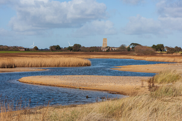 Majestic Saltmarsh  Picture Board by Kevin Snelling