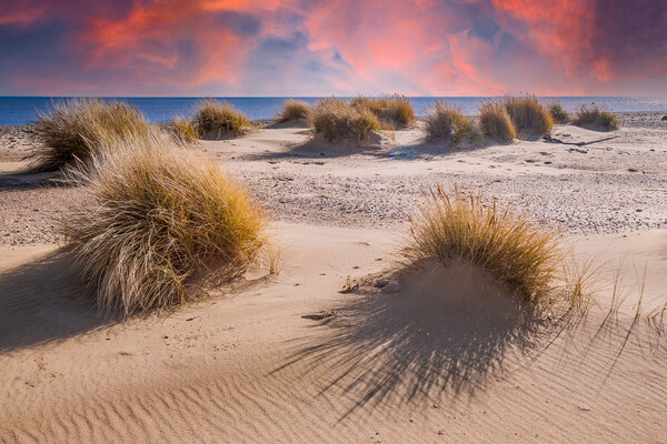covehithe beach and dunes  Picture Board by Kevin Snelling