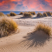 Buy canvas prints of covehithe beach and dunes  by Kevin Snelling