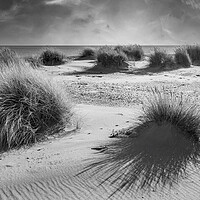 Buy canvas prints of Covehithe Benacre broad suffolk by Kevin Snelling