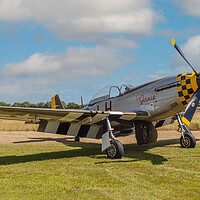 Buy canvas prints of warbird vintage mustang p51 fighter plane by Kevin Snelling