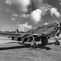 Buy canvas prints of The Mighty Warbird Mustang by Kevin Snelling