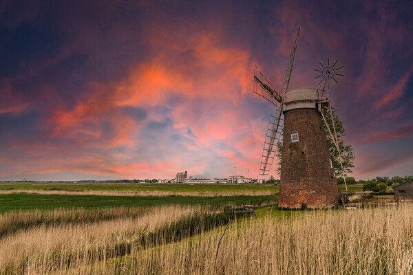 Hardley Windmill norfolk broads Picture Board by Kevin Snelling