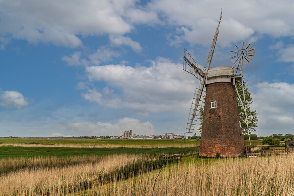 Hardley Windmill norfolk broads Picture Board by Kevin Snelling
