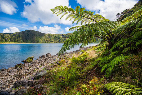 Mystical Beauty of Lagoa do Fogo Picture Board by Kevin Snelling