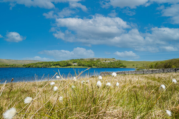 Majestic Malham Tarn Picture Board by Kevin Snelling
