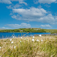 Buy canvas prints of Majestic Malham Tarn by Kevin Snelling