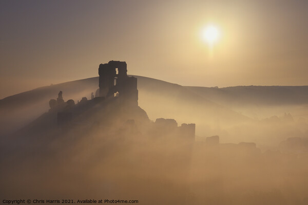Misty sunrise at Corfe Castle Picture Board by Chris Harris