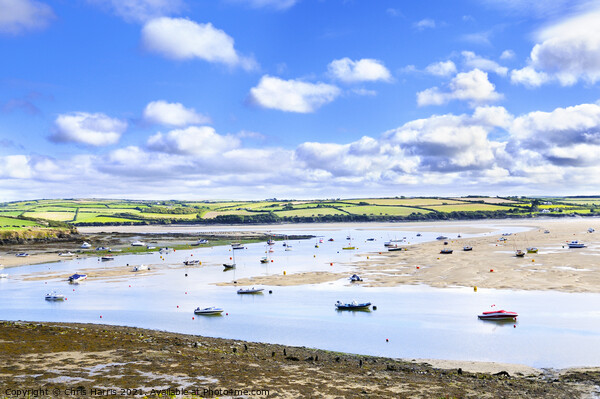 Camel Estuary, Cornwall Picture Board by Chris Harris