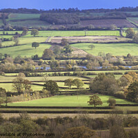 Buy canvas prints of Slice of Cotswolds by Chris Harris